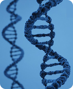 Синдромальный сахарный диабет